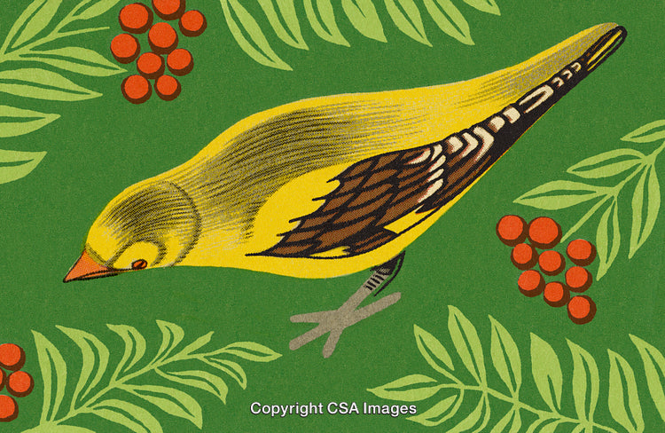 Illustration of Yellow Bird Among Green Foliage and Red Berries, Artistic Style