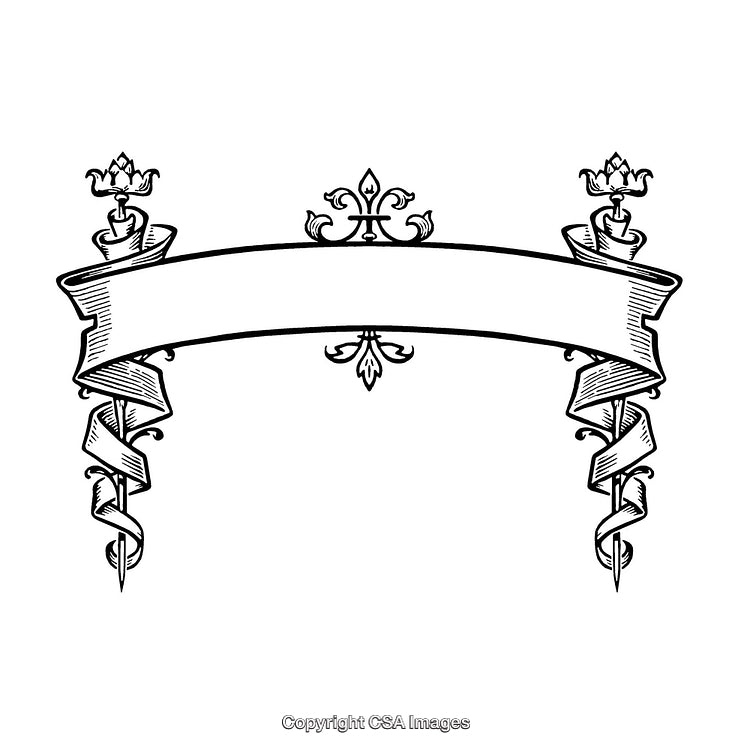 Elegant Black and White Ornamental Ribbon Border Artwork with Floral Accents