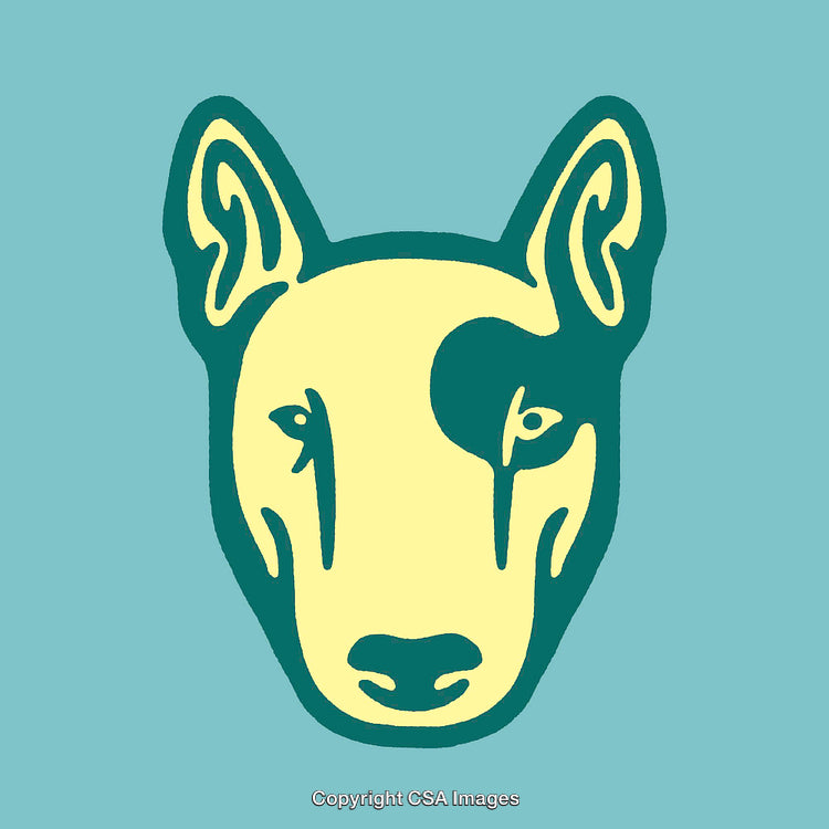 Stylized Line Art Rendering of a Dog's Simplistic Face in Vibrant Colors