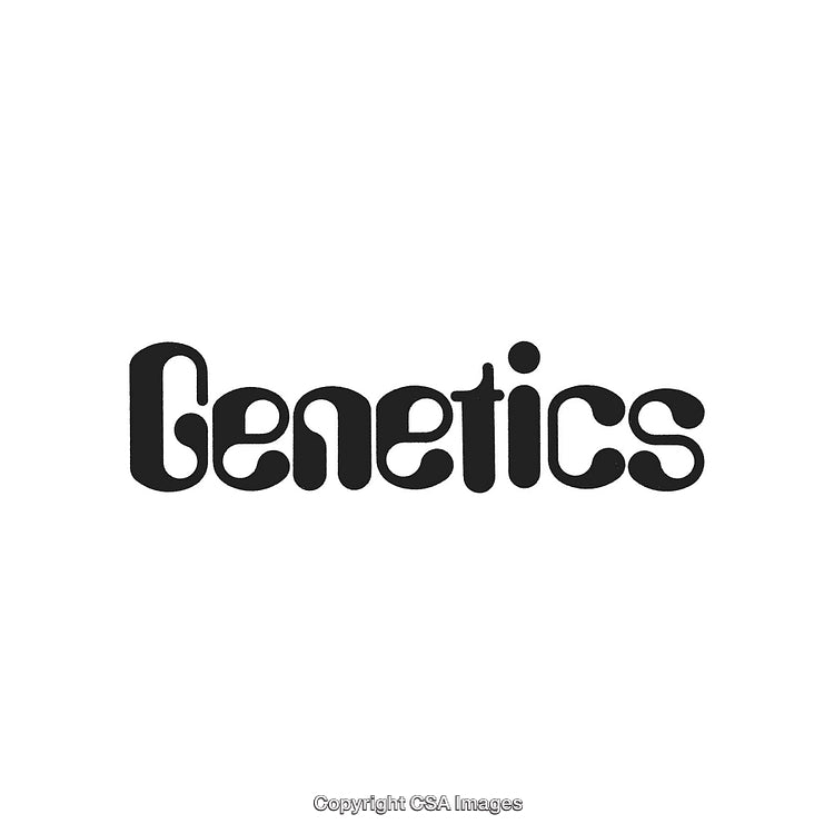 Modern Typography Design Featuring Stylized Lettering and Bold Minimal Style