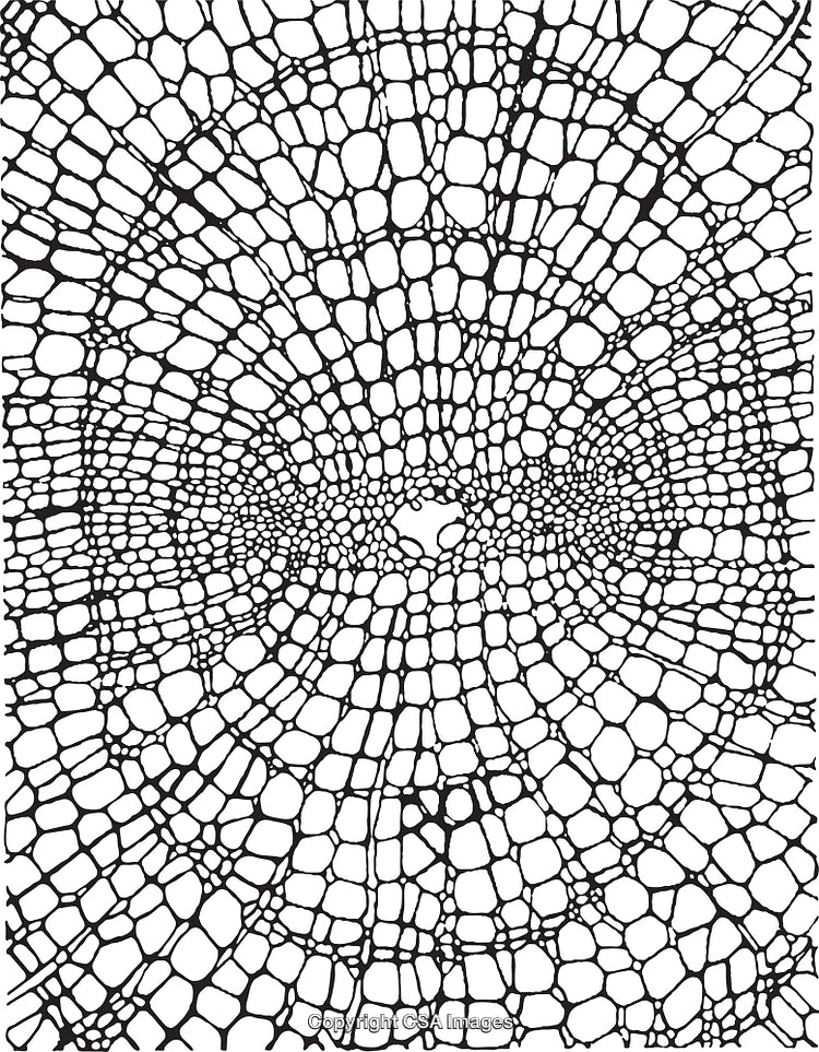 Abstract Black-and-White Geometric Pattern with Organic Texture