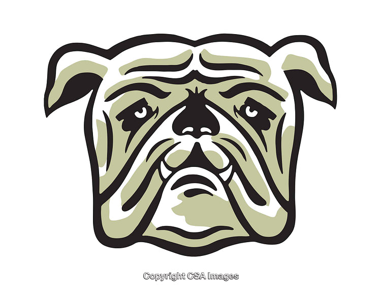 Bold Graphic Illustration of a Bulldog Face with Neutral Tones