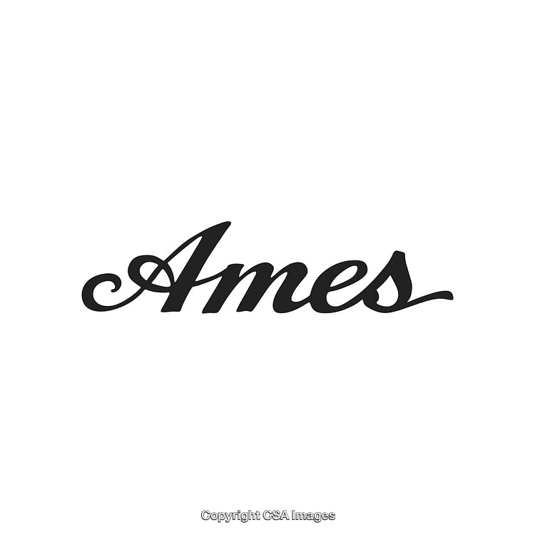 Stylized Typography of the Word 'Ames' in a Decorative Font