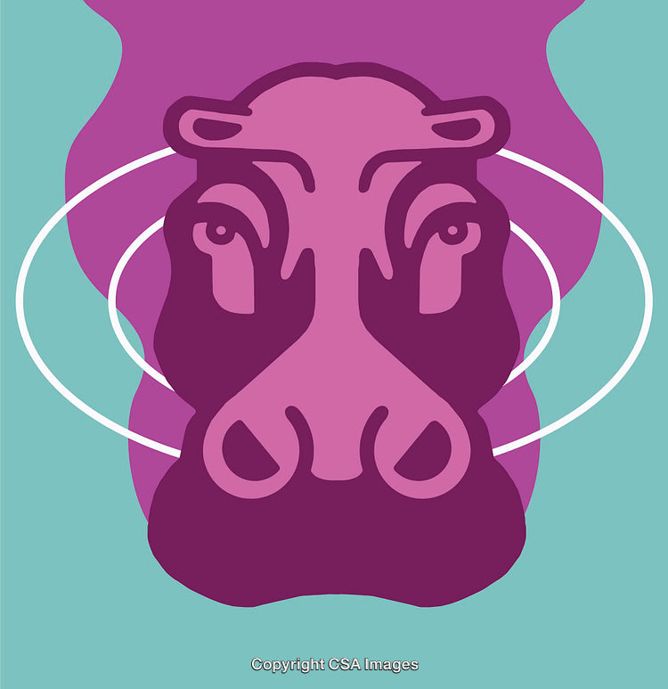 Colorful Abstract Illustration of a Hippo Face with Bold Graphic Design
