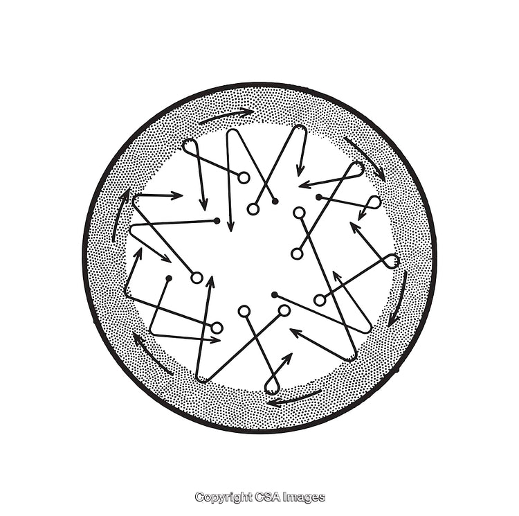 Black and White Line Art of Arrows in Circular Pattern