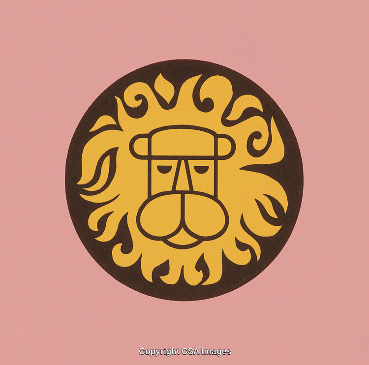 Stylized Lion Illustration with Bold Lines and Vibrant Colors on a Pink Background