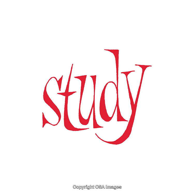 Red Stylized Typography Depicting the Word Study With Artistic Flair