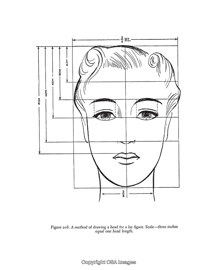 Detailed Diagram of Human Head Proportions for Art Practice