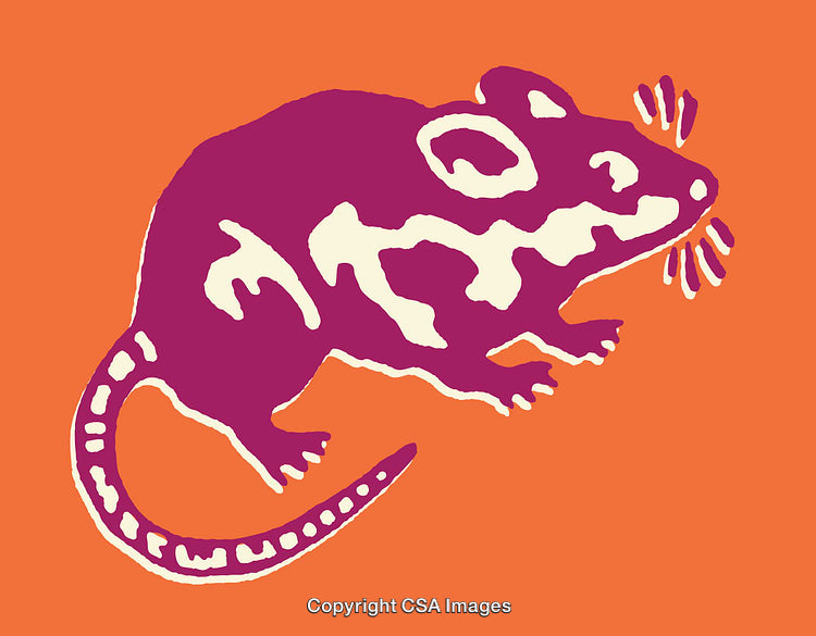 Vibrant Stylized Line Art Illustration of a Mouse on an Orange Background