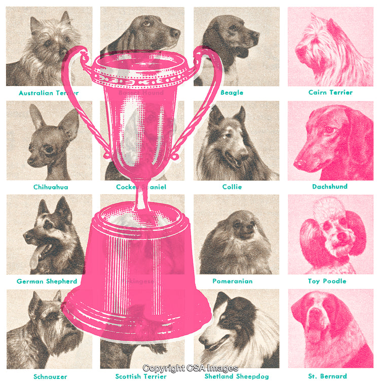 Showcase of Dog Breeds with Trophy Symbolizing Competition and Achievement
