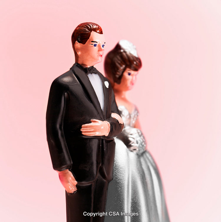 Plastic Wedding Couple Figurine on a Soft Pink Background