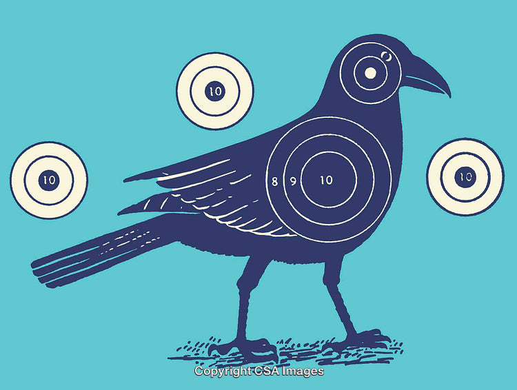 Stylized Bird Target with Circles on a Blue Background