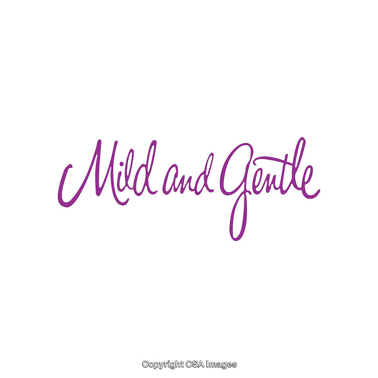 Purple Script Font Design Featuring 'Mild and Gentle' on White Background