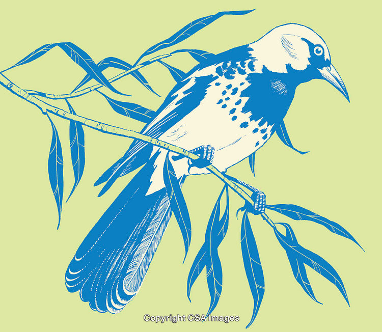 Colorful Line Art Illustration of a Bird Perched on a Branch