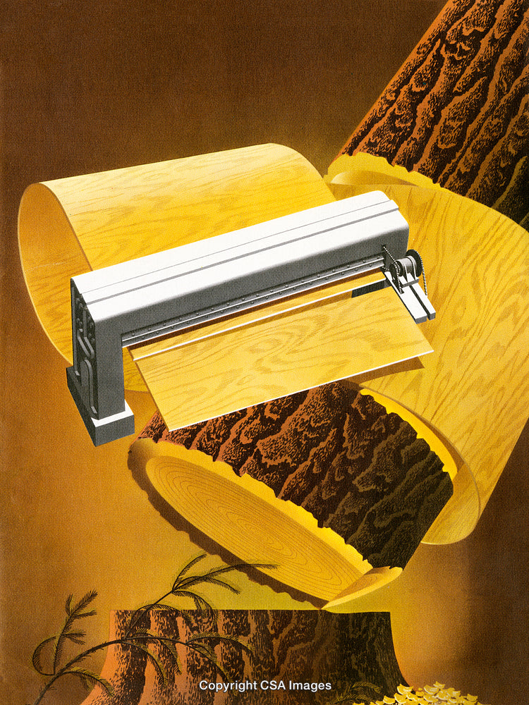Woodworking Machine Processing Logs to Create Panels in an Artistic Illustration