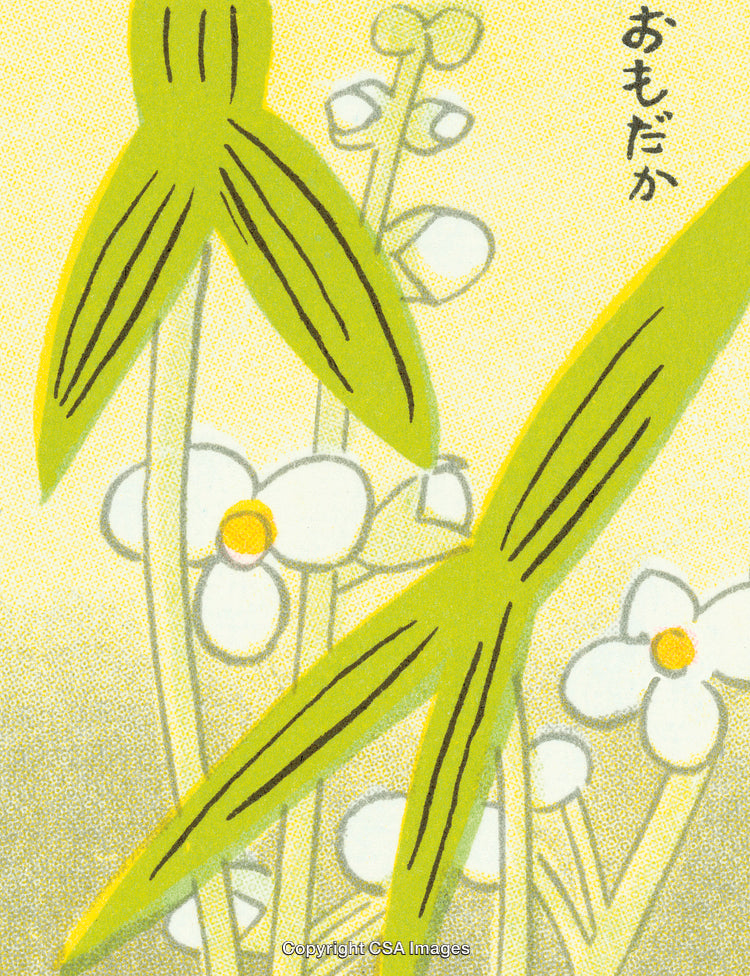 Artistic Illustration of Green Leaves and Small White Flowers