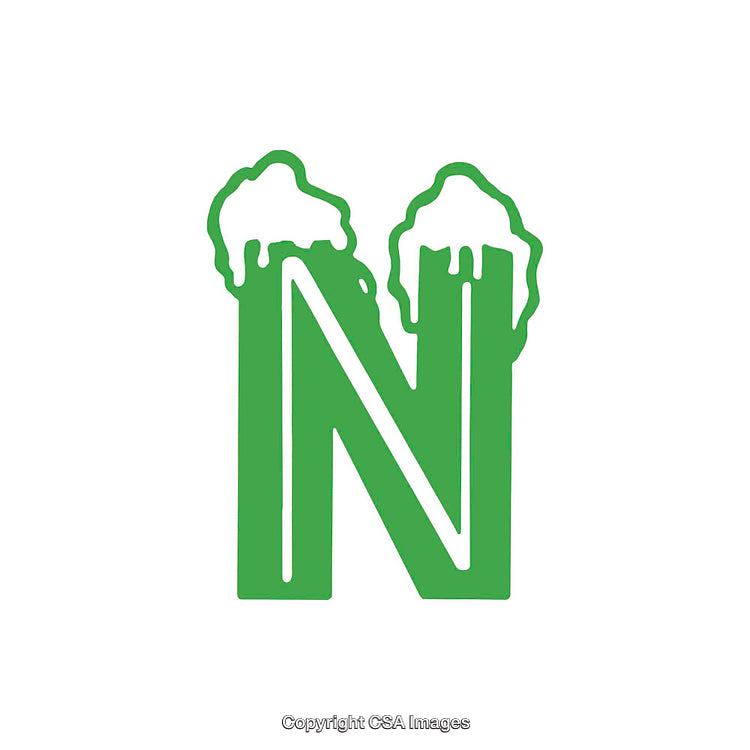 Green Letter N with Snow Accents Creative Typography Design