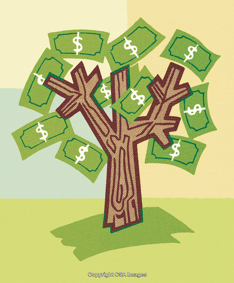 Money Tree