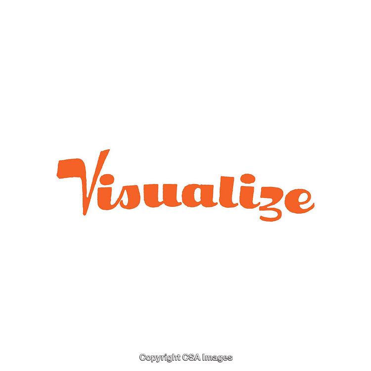 Minimalist Orange Text Featuring the Word Visualize on White Background