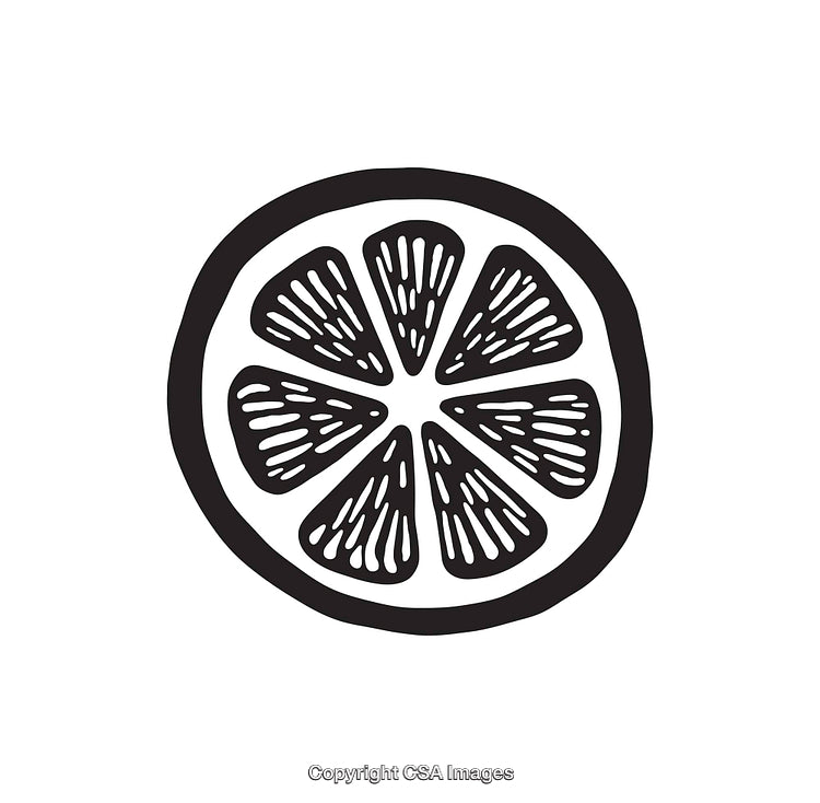 Black and White Line Art Illustration of a Citrus Fruit Slice