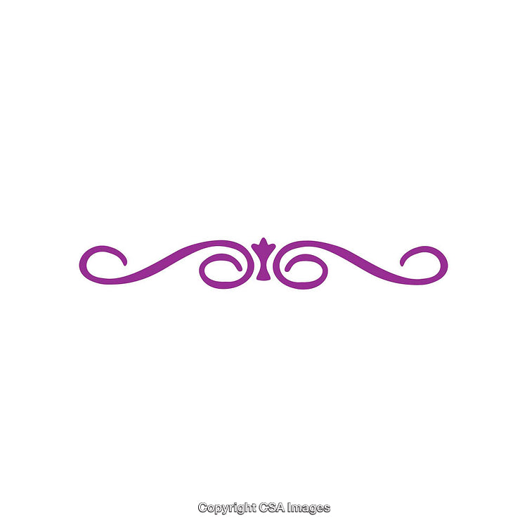 Purple Decorative Element With Swirls and Flourish Design on White