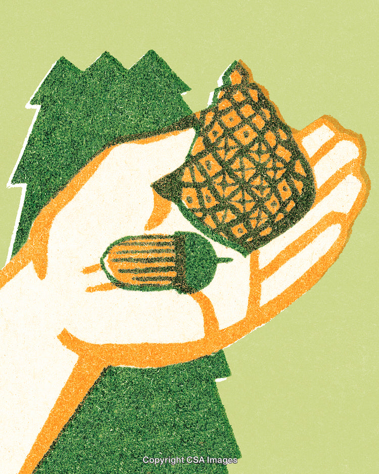 Illustration of a Hand Holding an Acorn and Pinecone Against Trees