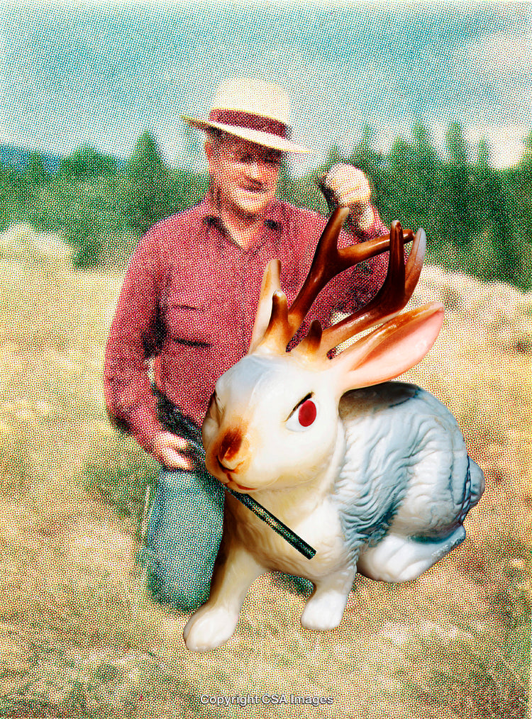 Unique Figure Displaying a Rabbit with Antlers in Rustic Setting