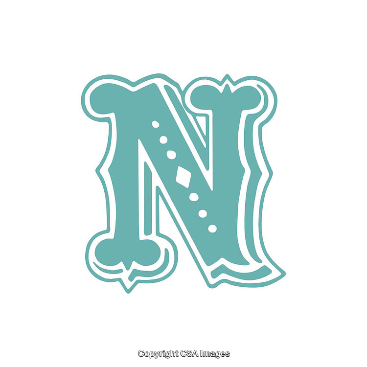 Elegant Decorated Letter N in a Vintage Typography Style