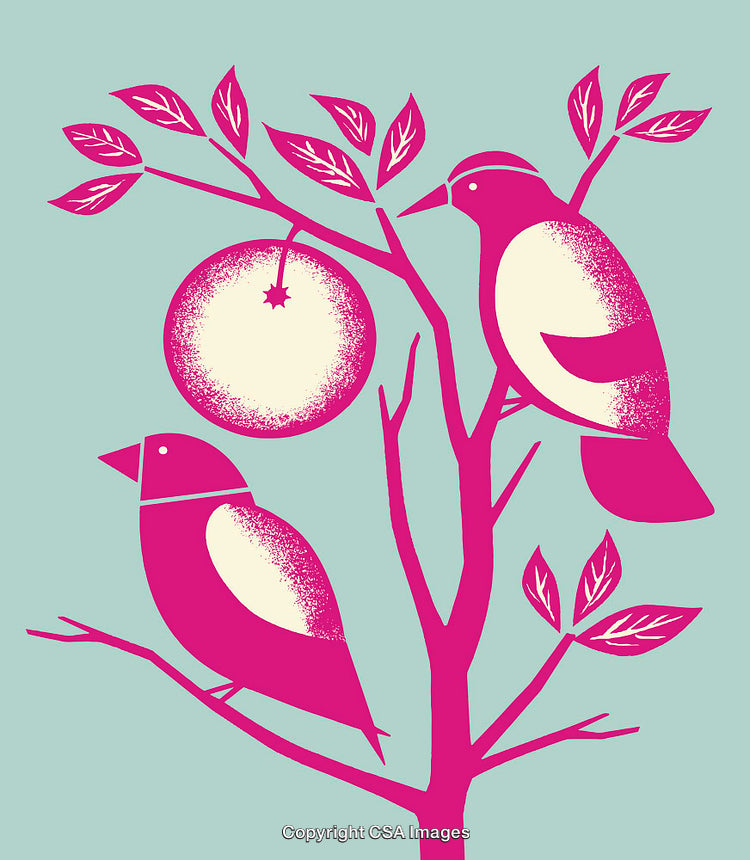 Colorful Minimalist Birds and Tree Illustration With Fruit and Leaves