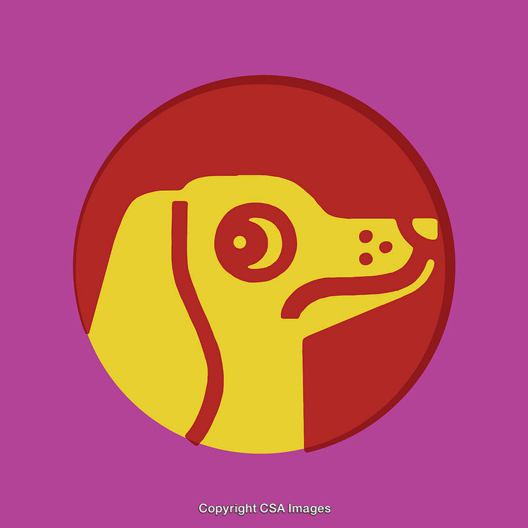 Colorful Line Art Illustration of a Dog in Circular Design