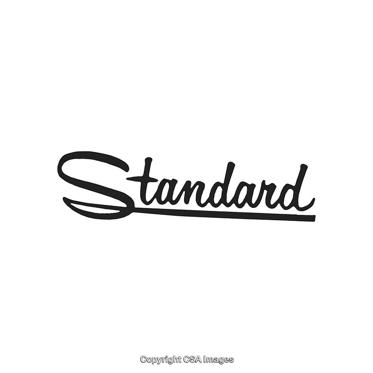 Stylized Handwritten Text Logo with Underline on White Background