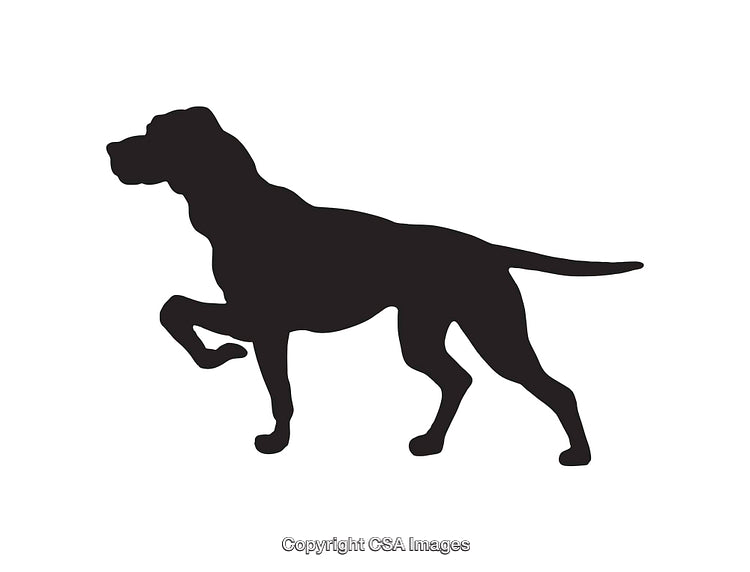 Silhouette Illustration of a Pointing Dog in Black on White Background