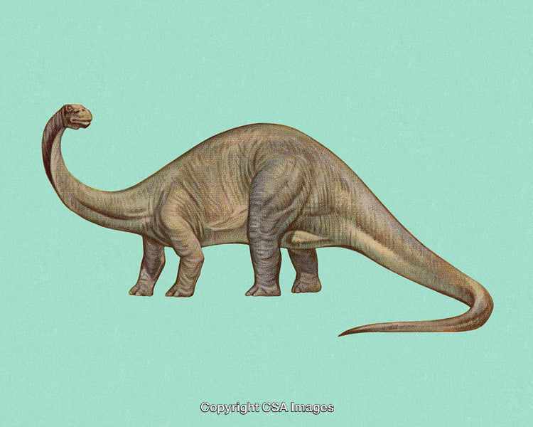 Illustrative Depiction of a Brachiosaurus Dinosaur Against a Light Green Background