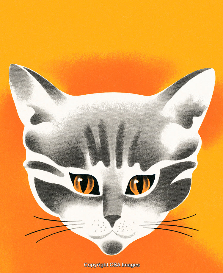 Illustration of a Gray Cat with Stripe Details on an Orange Background