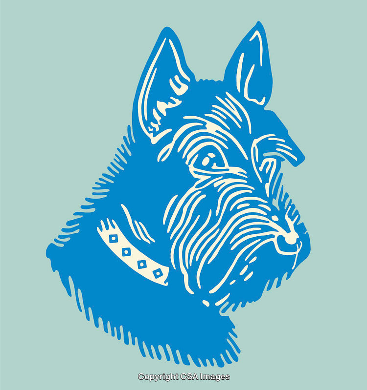 Colorful Line Art Illustration of a Dog Wearing a Studded Collar