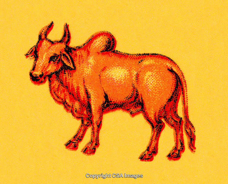Illustration of a Vibrant Orange Bull on a Yellow Background