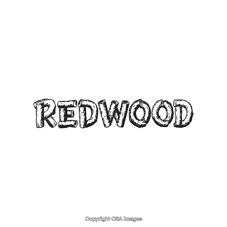 Rustic Redwood Word Design in Hand-Drawn Style with Natural Elements