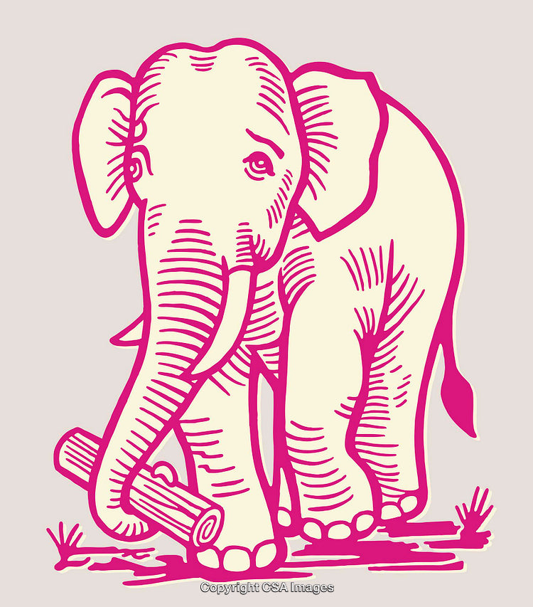 Colorful Line Art Illustration of an Elephant Holding a Log With Its Trunk
