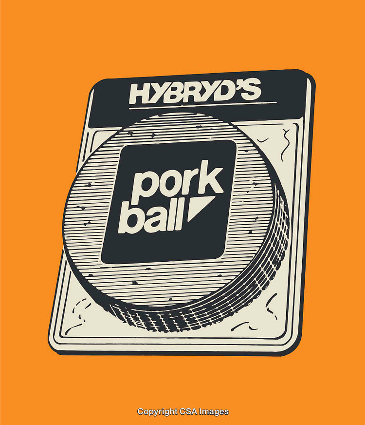 Retro Styled Illustration of Packaged Pork Ball Product on Orange Background