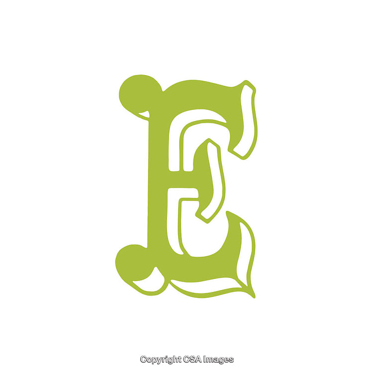 Ornate Green Letter E in Decorative Typography on White Background