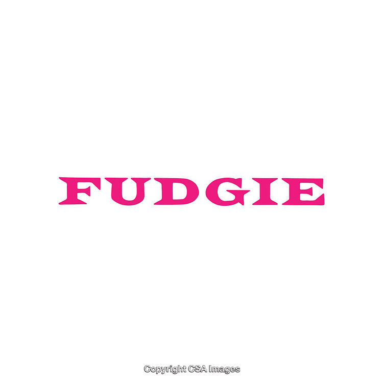 Bold Pink FUDGIE Typography on Clean White Background