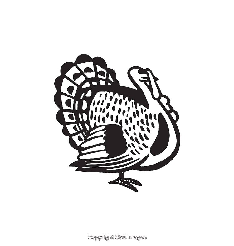 Black And White Line Art Illustration of a Wild Turkey