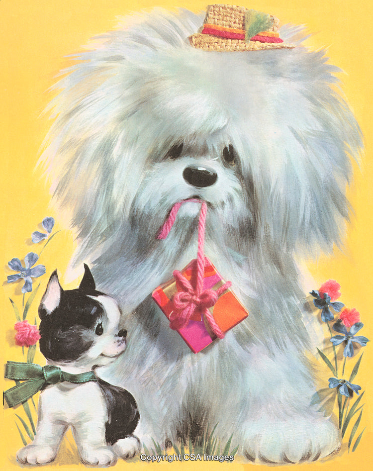 Adorable Shaggy Dog and Kitten Holding Gift and Sitting with Flowers