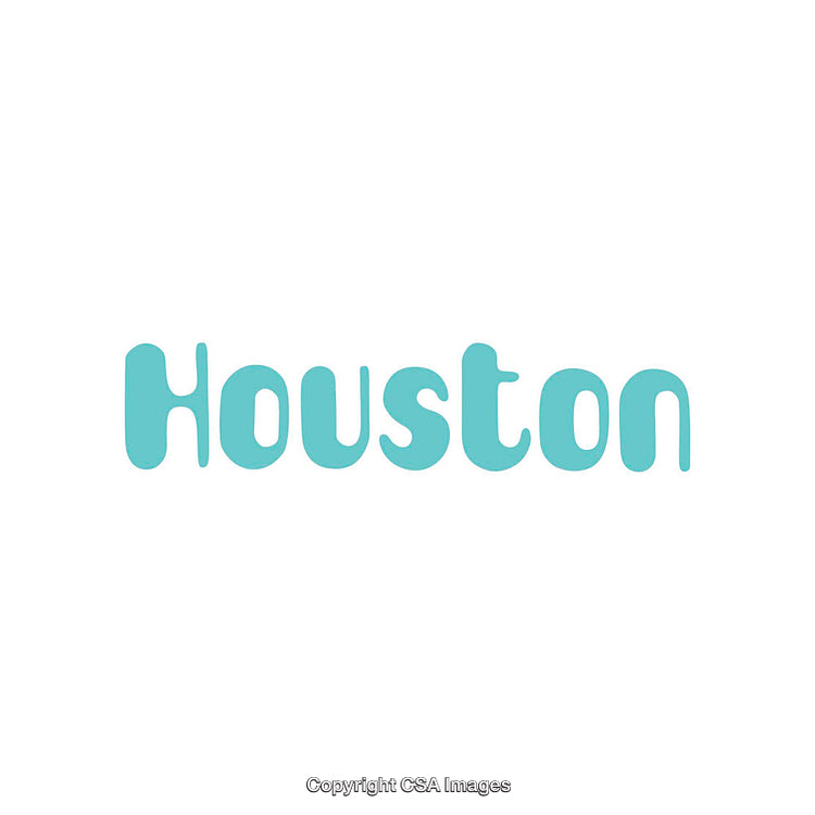 Minimalistic Design of Text Logo Reading Houston in Blue Font
