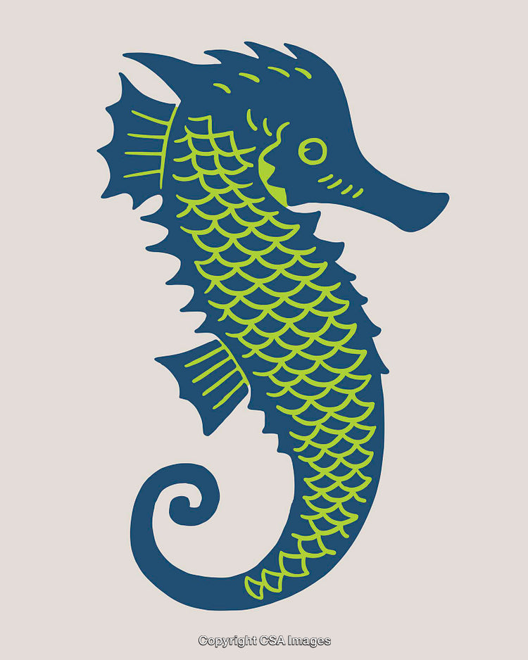 Colorful Line Art Illustration of a Stylized Seahorse Design