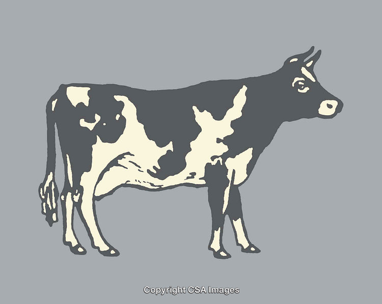 Monochromatic Cow Line Art Illustration With Gray Background