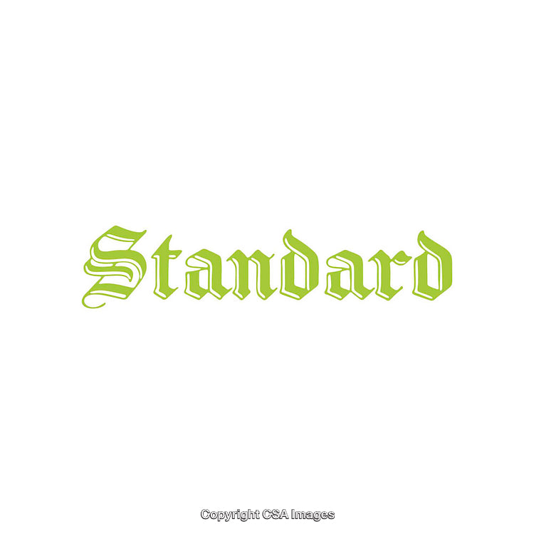 Bright Green Artistic Font Spelling the Word Standard
