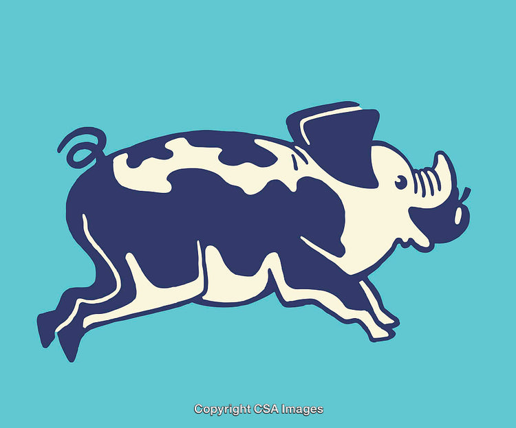 Whimsical Illustration of Colorful Pig in Unique Modern Line Art Style