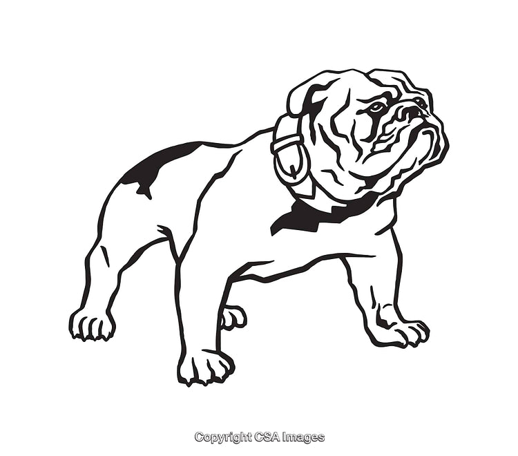 Black and White Line Art of a Bulldog Illustration