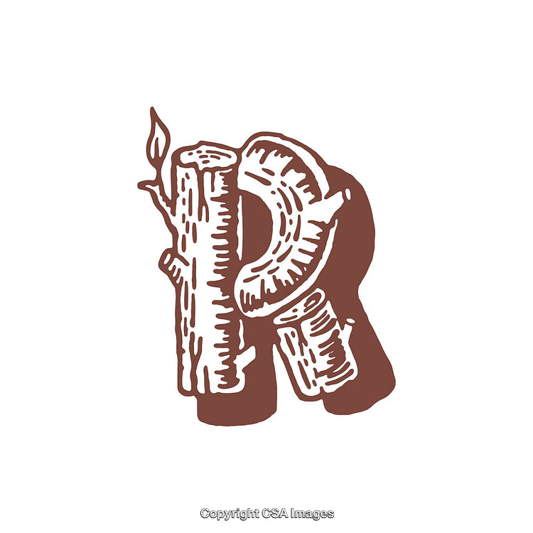 Hand-Drawn Tree-Styled Letter 'R' Artwork with Rustic Elements